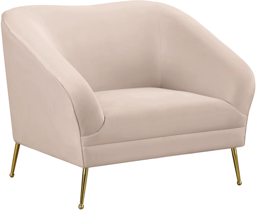 Hermosa Pink Velvet Chair - EZ Furniture of Mayfair (Philadelphia, PA)