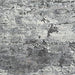 Wadyka 7'10" x 10'3" Rug - EZ Furniture of Mayfair (Philadelphia, PA)