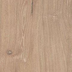 Cielden Bed - EZ Furniture of Mayfair (Philadelphia, PA)