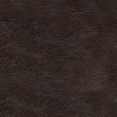 Nicorvo Sofa - EZ Furniture of Mayfair (Philadelphia, PA)