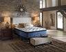 Mt Dana California King Euro Top Mattress Set - EZ Furniture of Mayfair (Philadelphia, PA)
