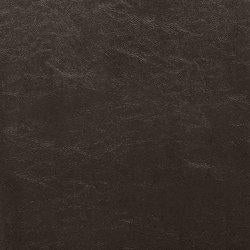 Kimonte Dining Chair - EZ Furniture of Mayfair (Philadelphia, PA)