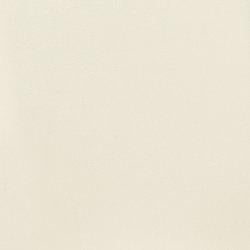 Kimonte Dining Chair - EZ Furniture of Mayfair (Philadelphia, PA)