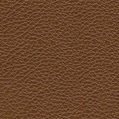 Healy Pier Living Room Set - EZ Furniture of Mayfair (Philadelphia, PA)