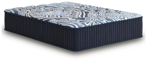 Firm Luxe 2.0 Mattress - EZ Furniture of Mayfair (Philadelphia, PA)