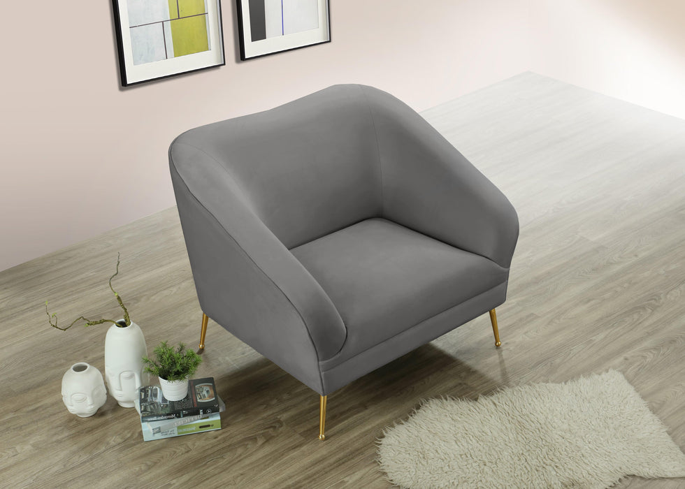Hermosa Grey Velvet Chair - EZ Furniture of Mayfair (Philadelphia, PA)