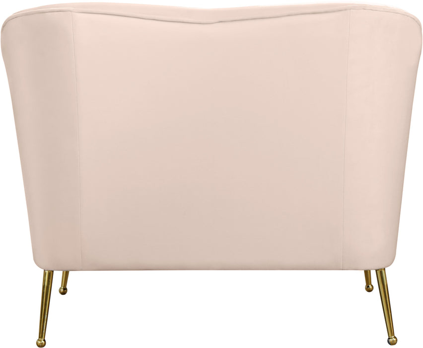 Hermosa Pink Velvet Chair - EZ Furniture of Mayfair (Philadelphia, PA)