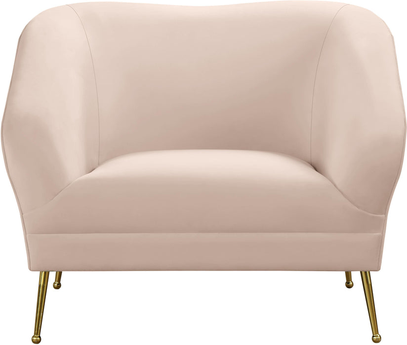 Hermosa Pink Velvet Chair - EZ Furniture of Mayfair (Philadelphia, PA)
