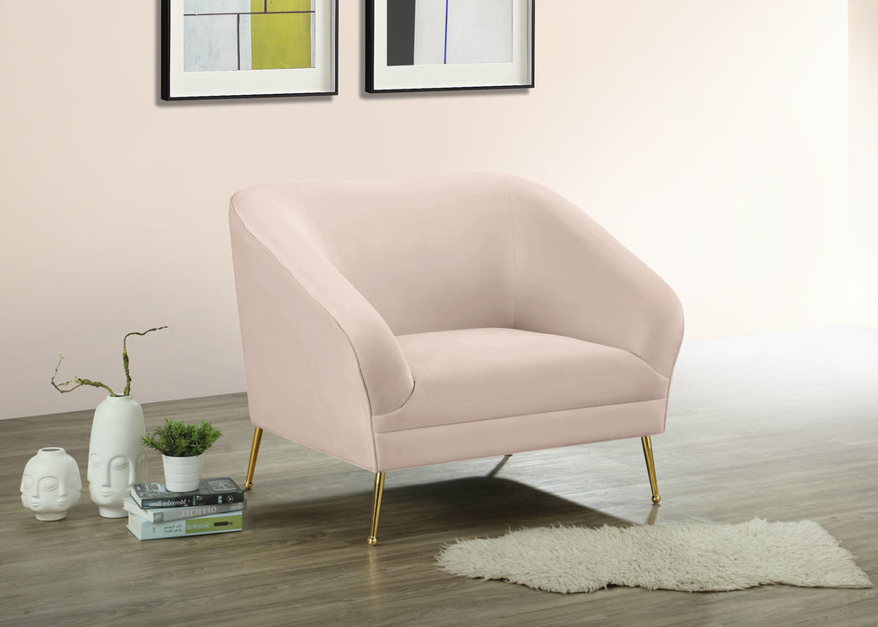 Hermosa Pink Velvet Chair - EZ Furniture of Mayfair (Philadelphia, PA)